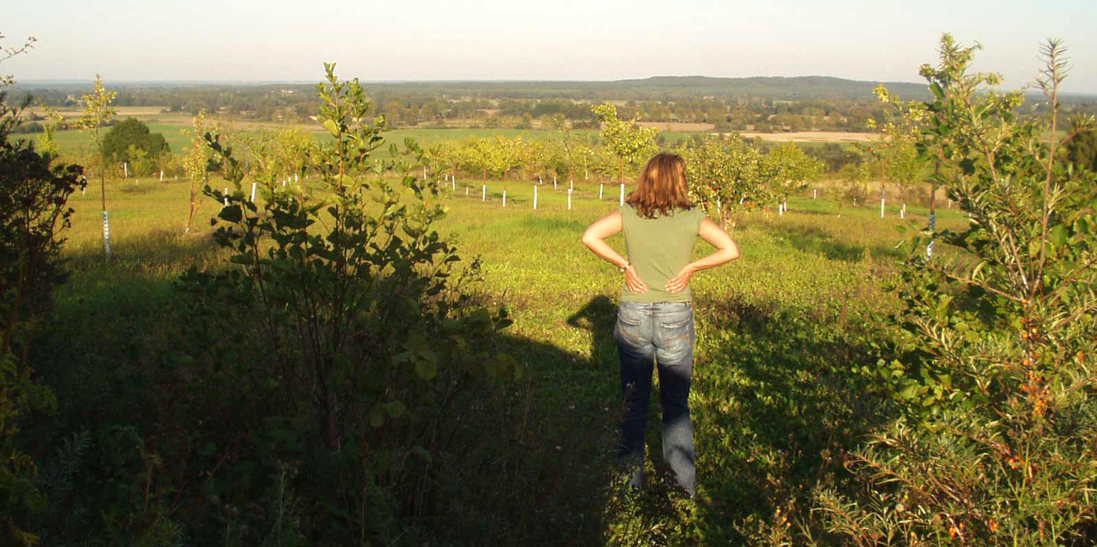 Am Liebenstein in Hohenfinow, Blick Richtung Osten